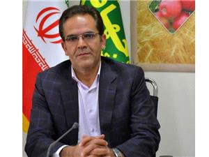 80 درصد کود اوره کشت پائيزه هشترود توزيع شد