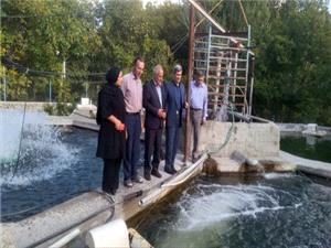 براي اولين بار در کشور، استفاده از عرقيات گياهي در پرورش ماهي در آذربايجان شرقي