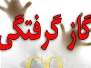 23 فوتي ناشي از مسموميت با گاز طي شش ماه امسال/ هشدار در خصوص نيمه سرد سال
