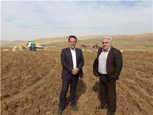 بازديد از دستاوردهاي بخش کشاورزي هشترود؛ رونق توليد در مزارع پاياب سد سهند