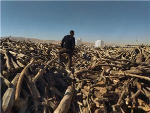 رئيس منابع طبيعي شهرستان کرمانشاه: با متخلفان اغماضي نخواهيم داشت