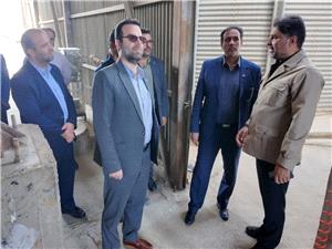 رئيس جهاد کشاورزي استان کرمانشاه بر گسترش زيرساختهاي جابجايي محصولات کشاورزي تأکيد کرد