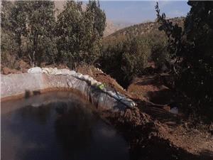 کشت غيرقانوني گياه ممنوعه در اراضي ملي فيروزآباد کرمانشاه متوقف شد