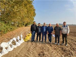 اجراي طرح ملي مقايسه 31 رقم و لاين گندم در مازندران با حضور متخصصان استاني و ملي