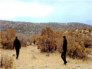 رئيس منابع طبيعي شهرستان کرمانشاه:پايان تعارف با سهل انگاران، ديگر فرصت اشتباه نيست