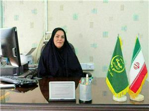 شناسايي 35 مورد عمليات تغيير کاربري غيرمجاز در قائم شهر /اخطار ماموران اراضي به متخلفان