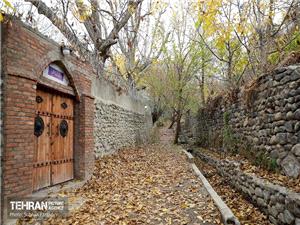 تملک باغات جدید در پایتخت برای ساخت بوستان/ احداث بوستان بالغ بر 2.2 هکتاری محله علیآباد جنوبی در مرحله اجرا