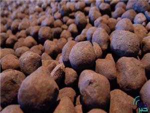 پذيرش 5 انبار جديد براي معاملات گواهي سپرده گندله در بورس کالاي ايران