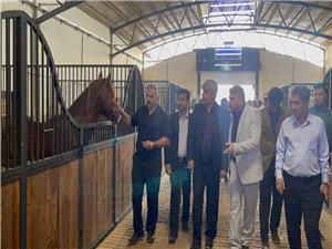 حمايت از سرمايهگذاران بخش خصوصي در حوزه ورزش امري ضروري است