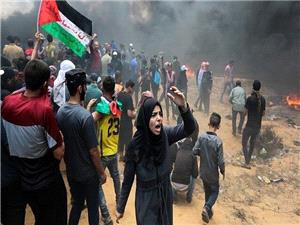 مخالفت اکثر فلسطینیها با خلع سلاح مقاومت و ناباوری شدید به تشکیل کشور مستقل