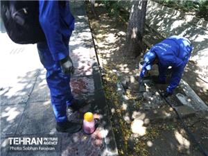 تهیه نقشههای جمعیتی جانوران مضر شهری و اجرای برنامههای علمی برای کنترل