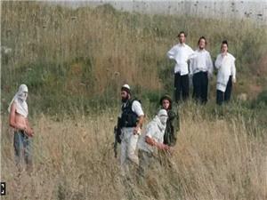 تحلیلگر سیاسی: جنایات شهرکنشینان، بخشی از سیاست اسرائیل برای کوچاندن فلسطینیان است