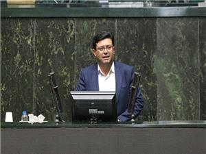 دولت در فصل بودجه ريزي 3 همت براي حفاظت از هيرکاني اختصاص دهد/ فرونشست استانهاي ايران را مي بلعد