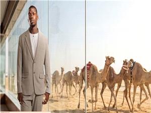 "أغلى جمل فی العالم".. بول بوغبا یقتحم عالم سباقات الهجن باستثمار سعودی