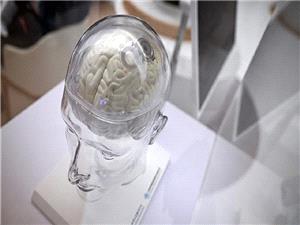 تطویر طریقه لمراقبه نشاط الدماغ وتحلیل الإرهاق بدقه