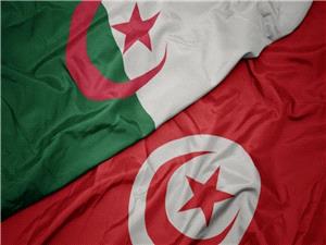 عشیه انعقاد اللجنه المشترکه بین البلدین.. قیس سعیّد یستقبل رئیس الحکومه الجزائریه