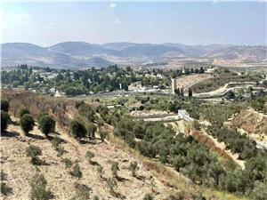 إسرائیل توافق على بناء 19 مستوطنه جدیده فی الضفه الغربیه