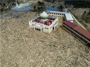 Nowhere to pray as logs choke flood-hit Indonesian mosque