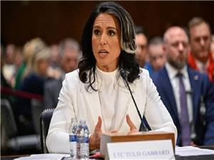 غابارد: هناک صله مع الإرهابیین لدى 2000 أفغانی على الأقل بالولایات المتحده