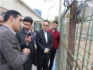 بازديد معاون شهرسازي و معماري شهرداري تهران از پروژه «پارکينگ فرهنگ»