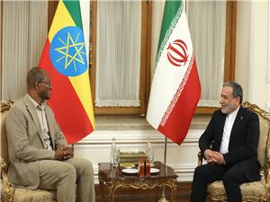 گسترش توسعه مناسبات تهران-آدیس آبابا/ دور جدید نشست کمیسیون مشترک اقتصادی برگزار میشود