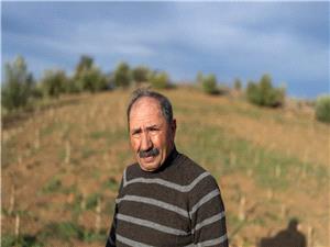 Morocco aims to boost legal cannabis farming and tap a global boom