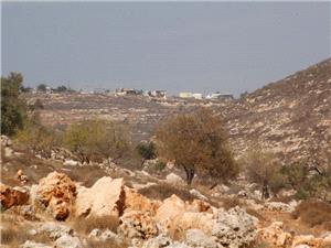 هآرتس: دعم نتنیاهو للاستیطان ینسف خطه ترامب لإرساء شرق أوسط مستقر