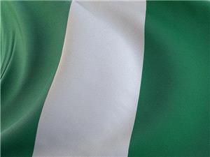 صحیفه: مسلحون مجهولون یخطفون 18 راکبا من حافله فی نیجیریا