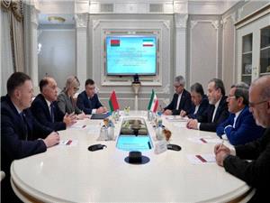 تاکید بر ضرورت همکاری تهران -مینسک بر جلوگیری از نقض اصول منشور ملل