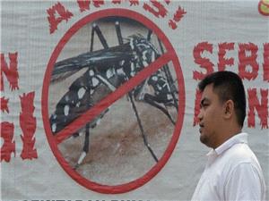 Malaysia reports significant decline in dengue deaths