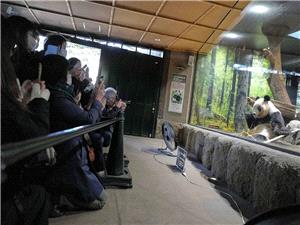Thousands flock to a Tokyo zoo to see the last 2 pandas in Japan before their return to China