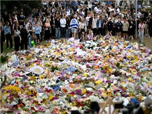 Married couple lauded for effort to thwart Bondi Beach shootings