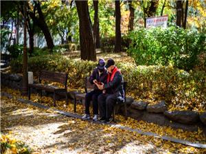 Hair loss should be under greater national health insurance coverage: South Korea President Lee