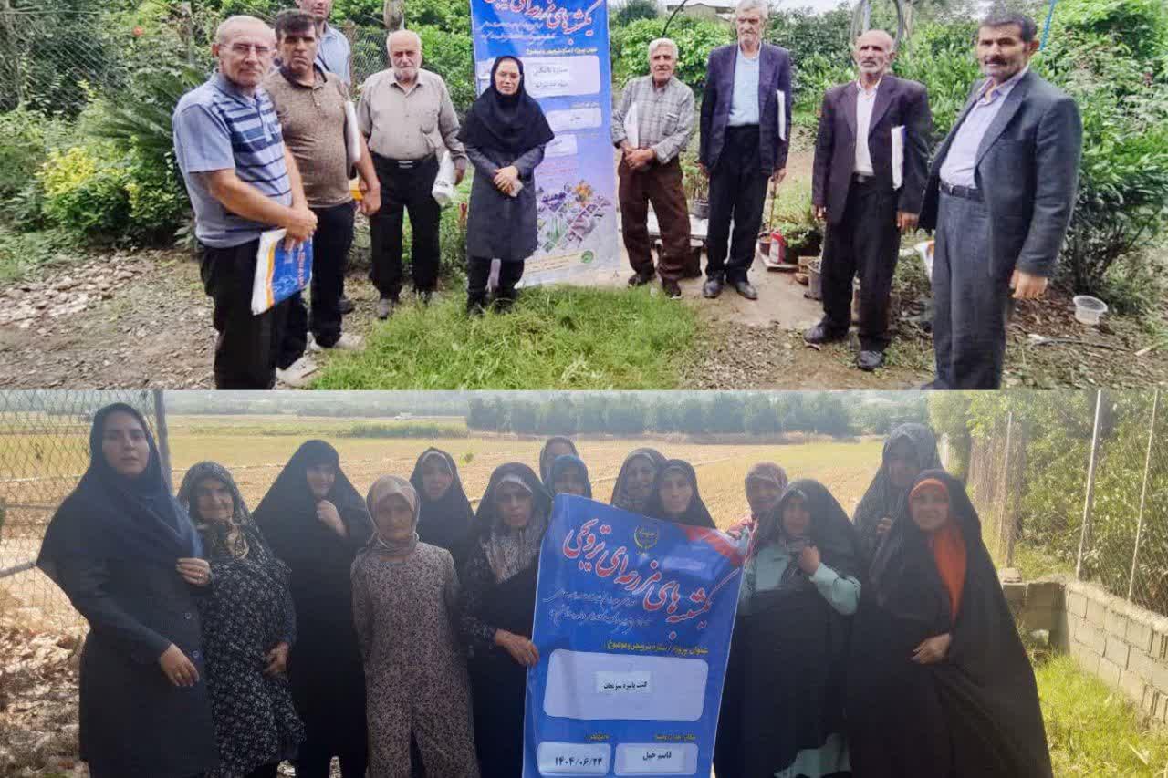 برگزاري 16 دوره آموزشي و ترويجي کشاورزي در قائم شهر /شرکت 194 نفر