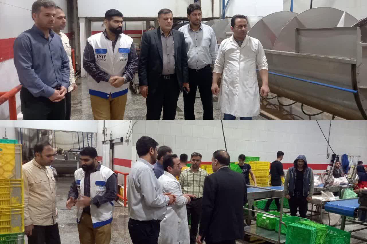 بازديد شبانه بازرسان از کشتارگاه مرغ در قائم شهر