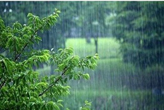 ادامه بارش‌ها در مناطق شمالی کشور