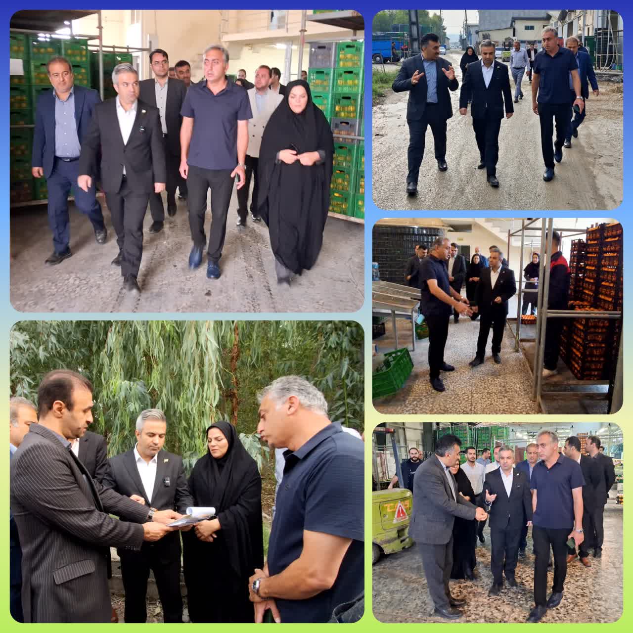 بازديد فرماندار قائم‌شهر از واحد سورتينگ برادران سبزي در راستاي تسهيل و رفع موانع توليد