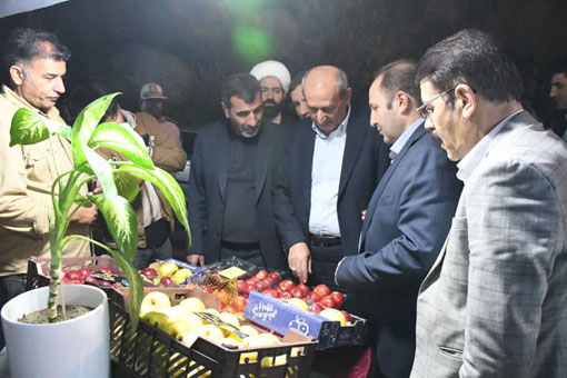 مراغه با توليد بيش از 30 درصد سيب استان، قطب برتر باغداري استان آذربايجان شرقي است