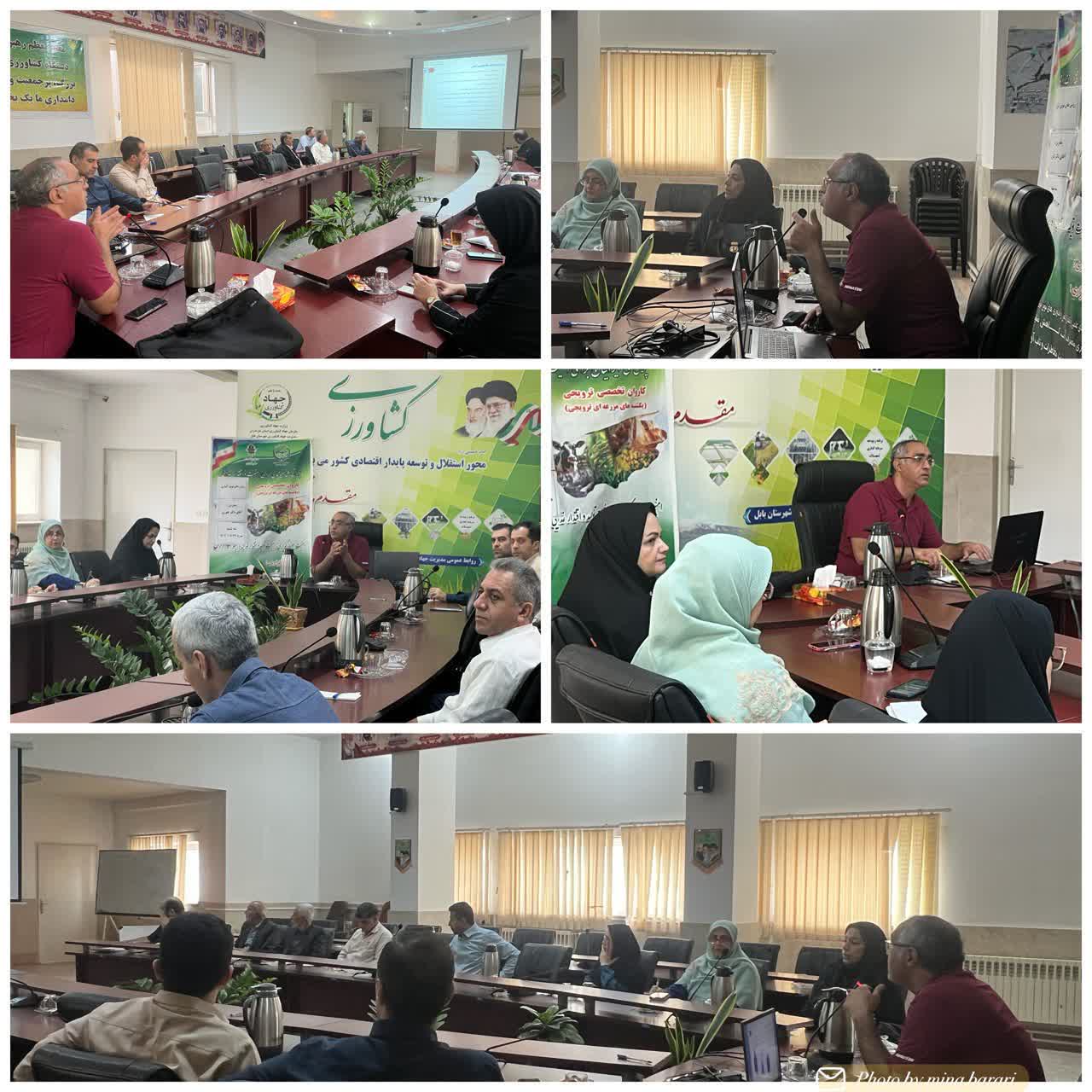 برگزاري کلاس آموزشي آشنايي با روش‌هاي نوين آبياري