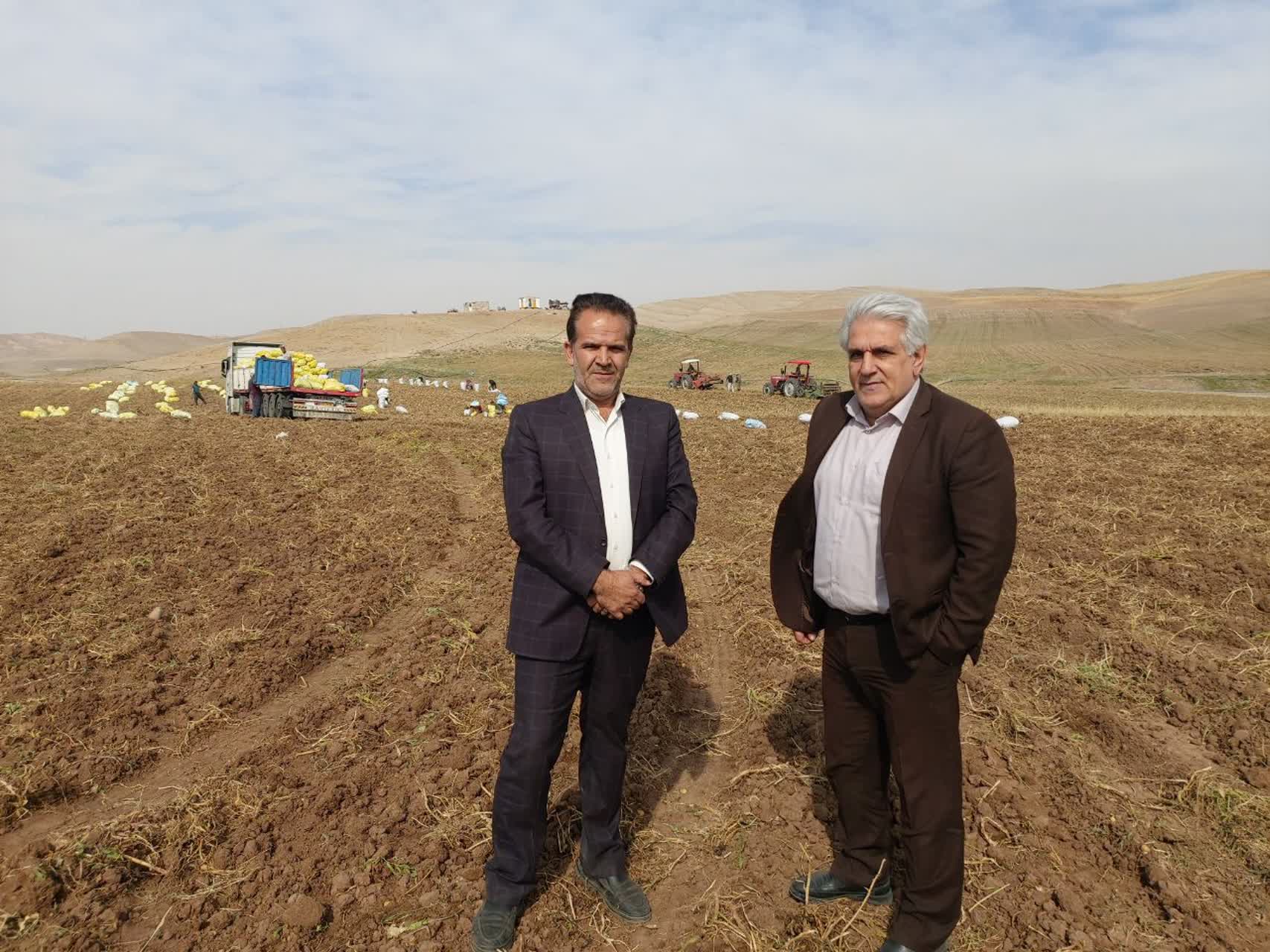 بازديد از دستاوردهاي بخش کشاورزي هشترود؛ رونق توليد در مزارع پاياب سد سهند