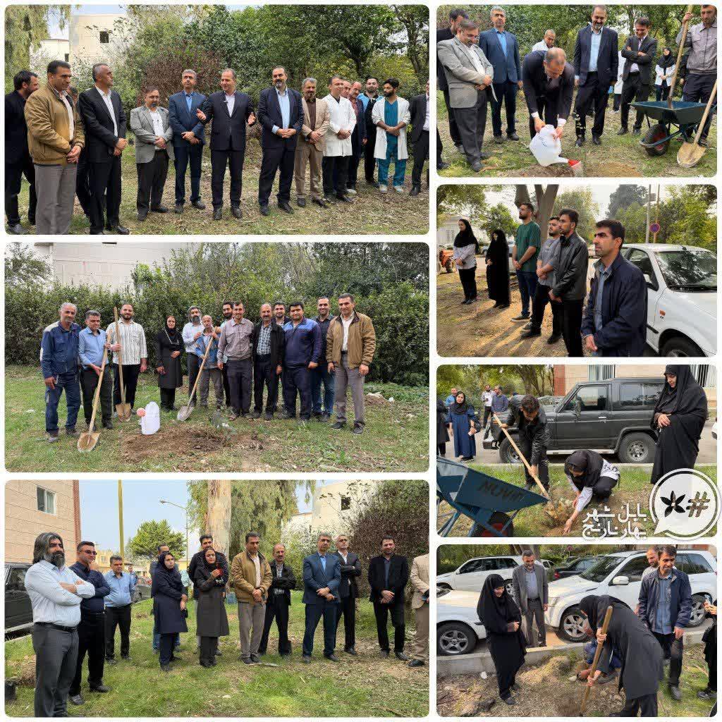 برگزاري آيين کاشت نهال به مناسبت روز پرستار و شهداي سلامت در دانشگاه علوم پزشکي بابل