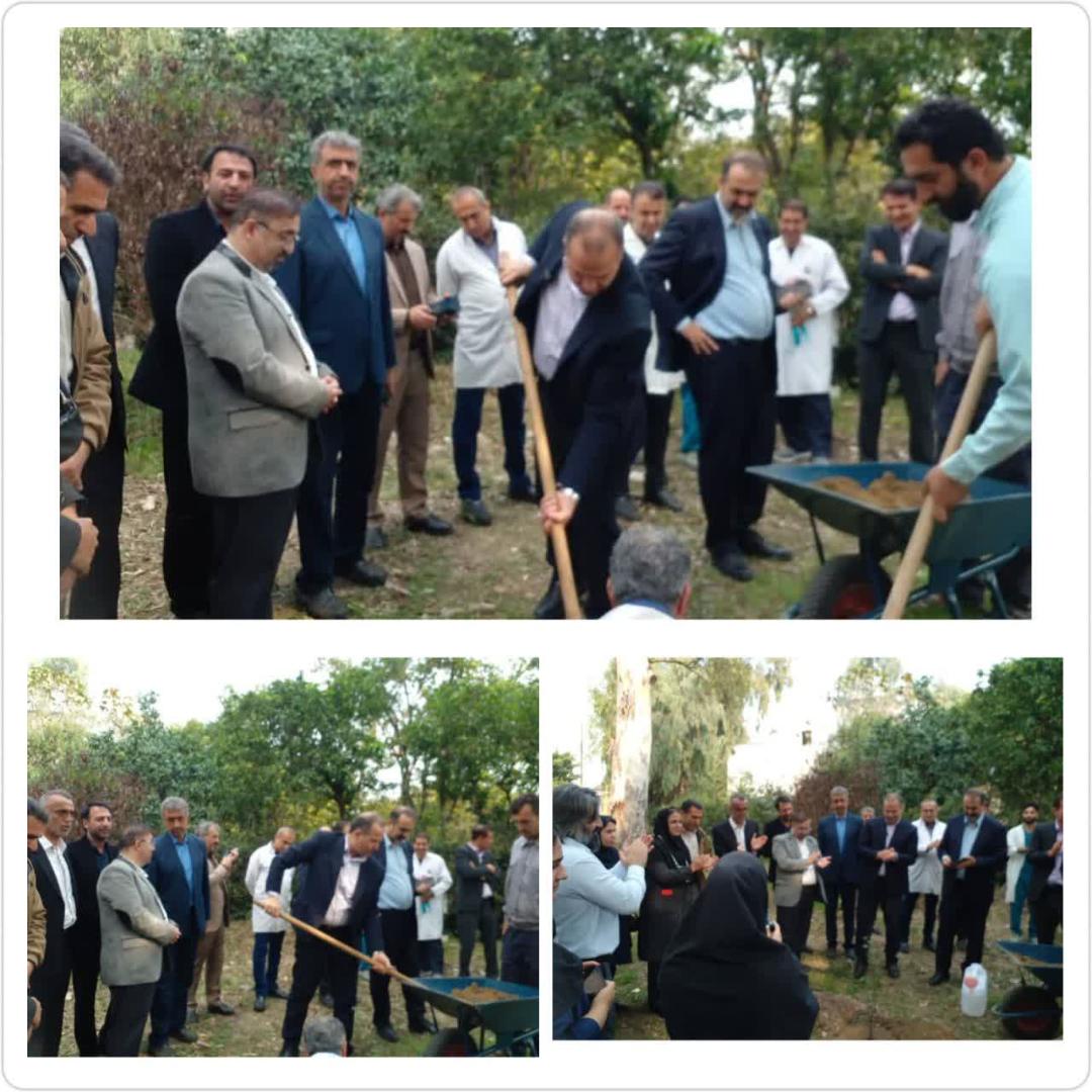 ياد شهداي سلامت، با قامت سبز نهال‌ها در بابل جاودانه شد