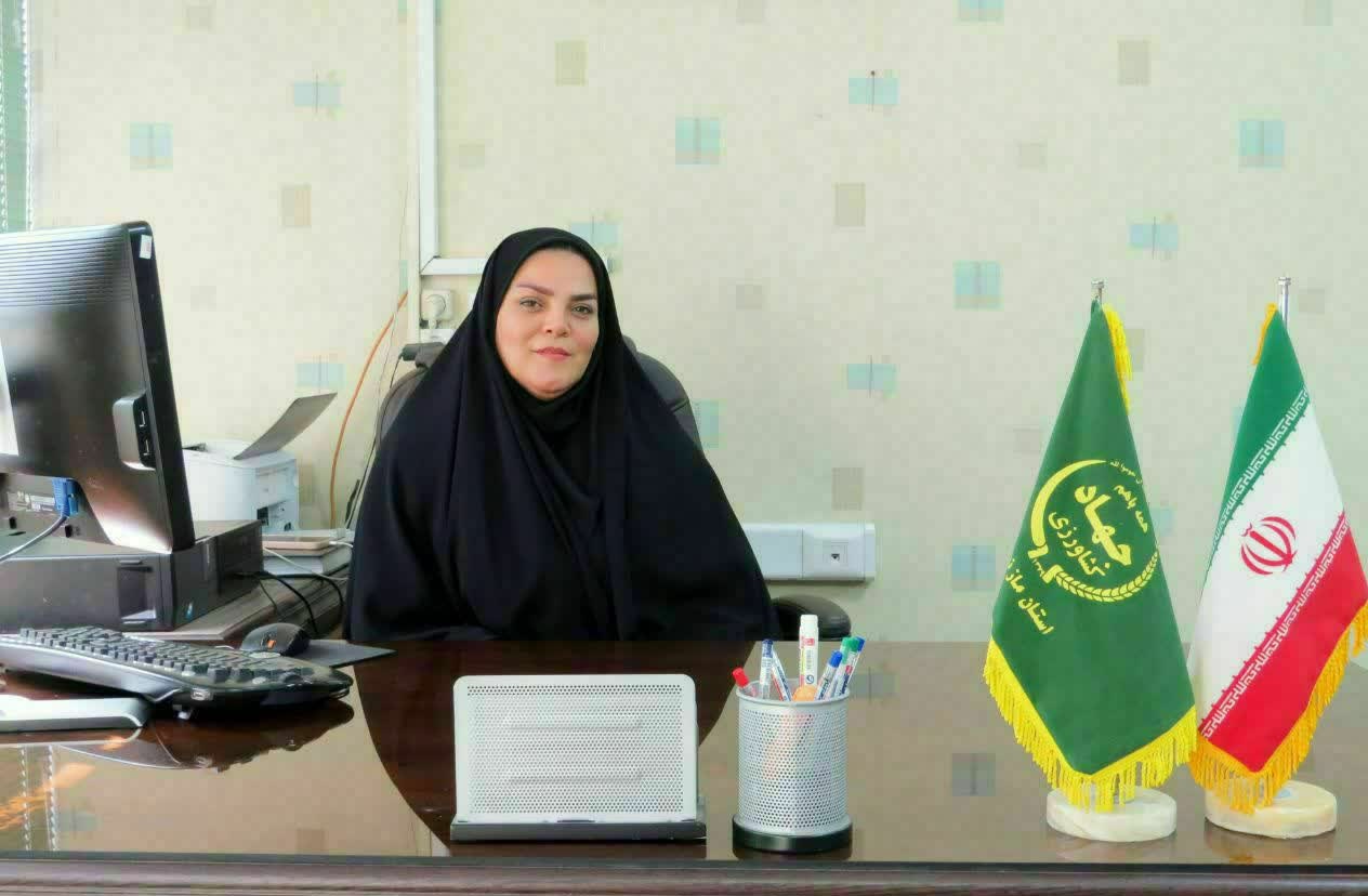 تاکنون 8 تن بذر گندم بين کشاورزان توزيع شد