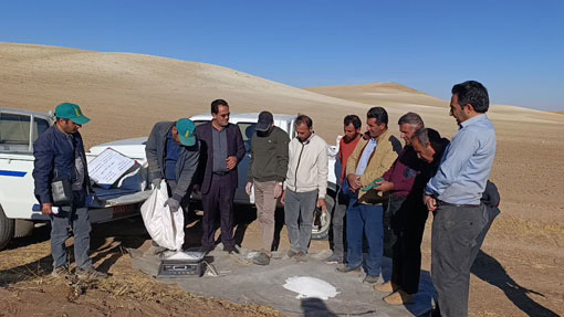 حرکت علمي کشاورزي ديم با اجراي پايگاه‌هاي نوآورانه در هشترود