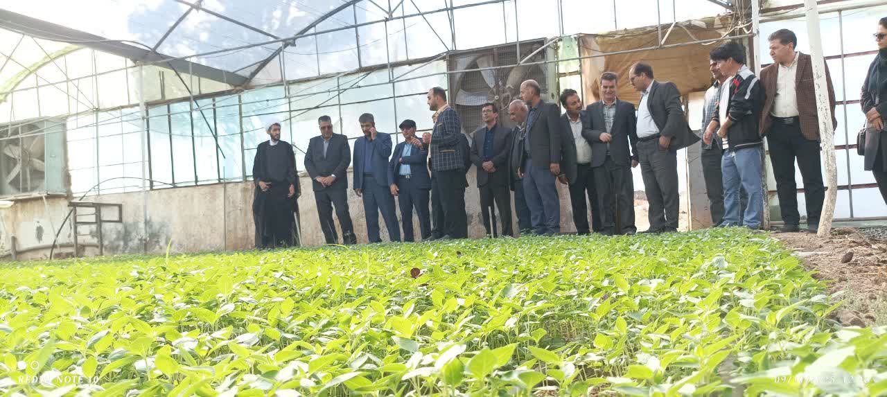 مجتمع هاي کشاورزي؛ الگويي مناسب در زنجيره هاي توليد شهرستان ميانجلگه