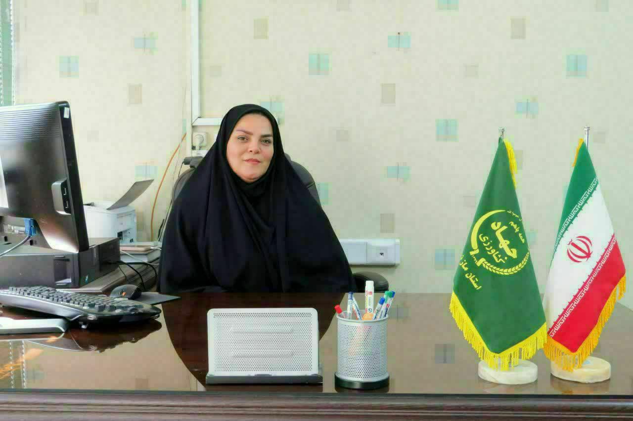 کشت 1400 هکتاري علوفه شبدر در قائم شهر