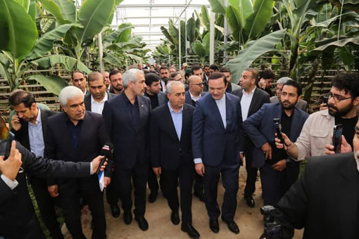 بازديد وزير اقتصاد از بزرگ‌ترين پروژه گلخانه‌اي کشور در جلفا