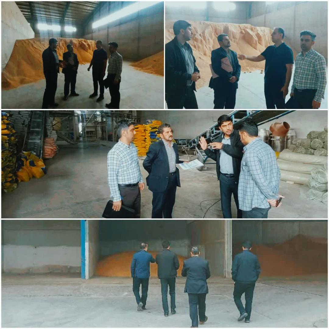 نظارت بر 7 واحد انبارها و تعاوني هاي خوراک دام و طيور در قائم شهر