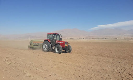کشاورزان از فرصت بارش‌هاي پيشِ‌رو براي تکميل کشت پاييزه استفاده کنند