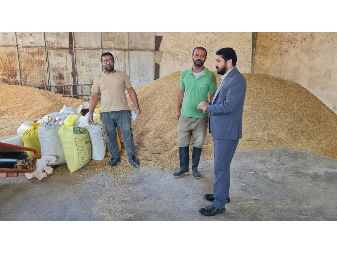 توزيع 401 تن نهاده دامي يارانه‌اي در ماه آبان در سوادکوه